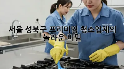 서울 성북구 프리미엄 청소업체의 놀라운 비밀