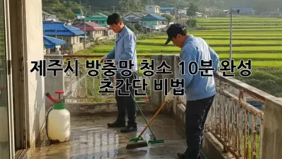 제주시 방충망 청소, 10분 완성 초간단 비법!