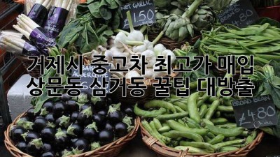 거제시 중고차 최고가 매입: 상문동, 삼거동 꿀팁 대방출!