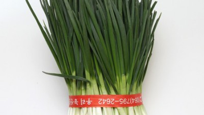 깐쪽파5 써보니! 초간편 요리템🛒 특가 득템 후기